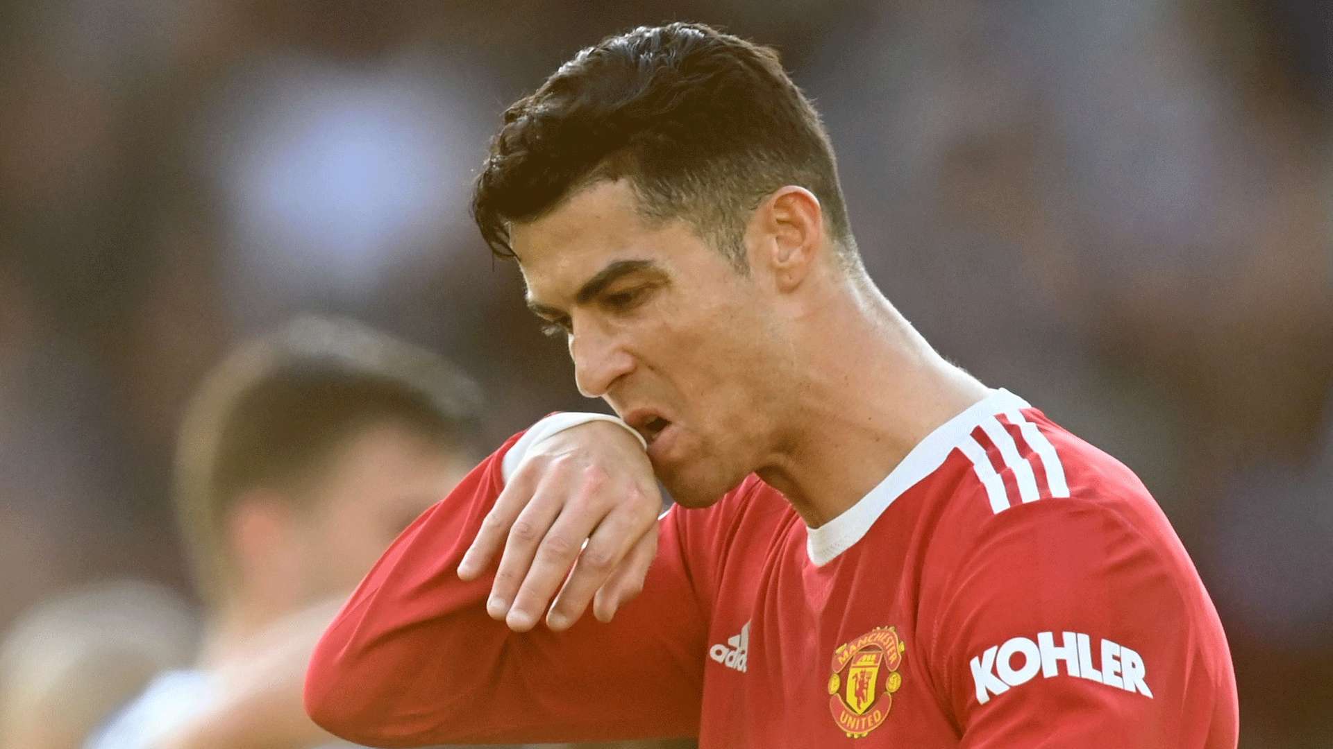 丰厚的回报 丰厚的回报